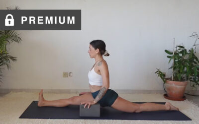 Deep Flexibility & The Splits
