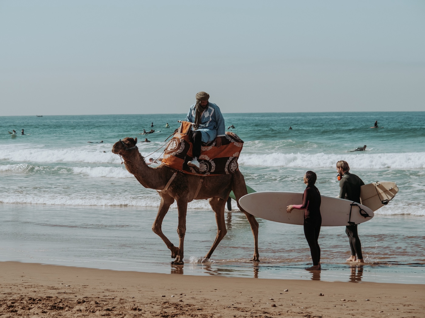 2 Surfers at Amayour Surf & Yoga standing at the water's edge talking to a man on a camel in Morocco.