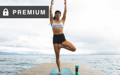 Power Up Workout Programme