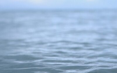 Everything You Need to Know About Cold Water Dipping