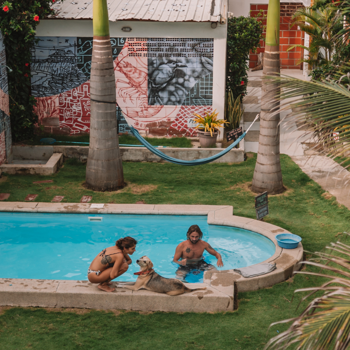 The pool at Free Spirit Hostel - Ecuador